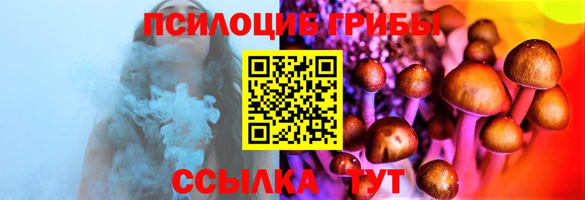 Пыть-Ях  закладки  Галлюциногенные грибы MAGIC MUSHROOMS  Вход с VPN  Галлюциногенные грибы прущие грибы 